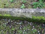 image of grave number 612591